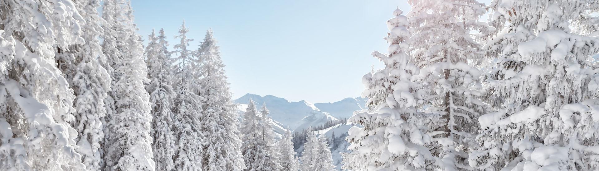 Winter Saalbach